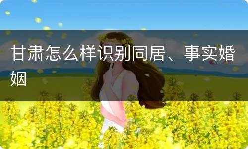 甘肃怎么样识别同居、事实婚姻