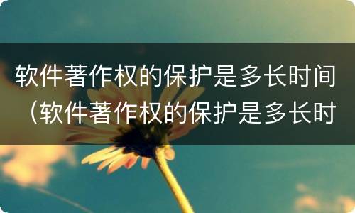 软件著作权的保护是多长时间（软件著作权的保护是多长时间的）