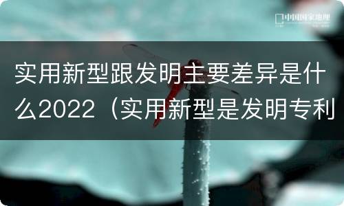 实用新型跟发明主要差异是什么2022（实用新型是发明专利吗）