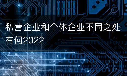 私营企业和个体企业不同之处有何2022