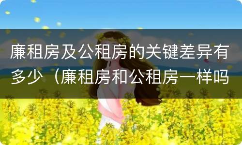 廉租房及公租房的关键差异有多少（廉租房和公租房一样吗?）