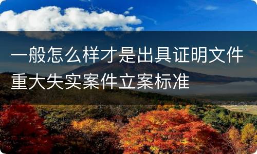 一般怎么样才是出具证明文件重大失实案件立案标准