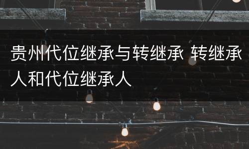 贵州代位继承与转继承 转继承人和代位继承人
