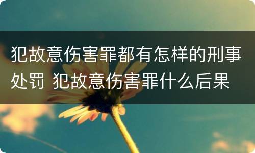 犯故意伤害罪都有怎样的刑事处罚 犯故意伤害罪什么后果