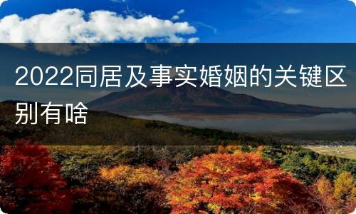 2022同居及事实婚姻的关键区别有啥