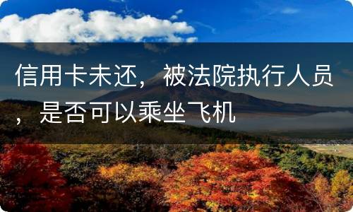 信用卡未还，被法院执行人员，是否可以乘坐飞机