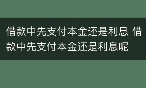 借款中先支付本金还是利息 借款中先支付本金还是利息呢