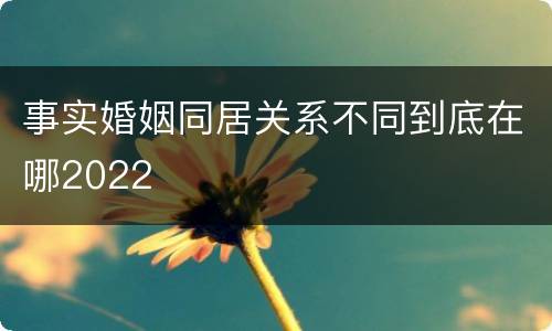事实婚姻同居关系不同到底在哪2022