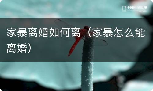 家暴离婚如何离（家暴怎么能离婚）