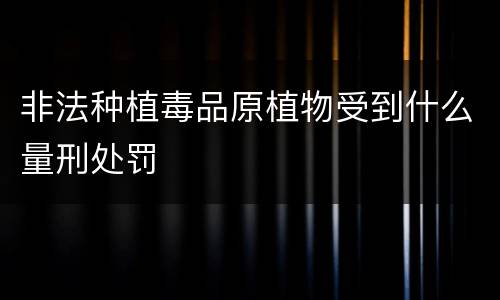 非法种植毒品原植物受到什么量刑处罚