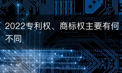 2022专利权、商标权主要有何不同