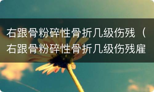 右跟骨粉碎性骨折几级伤残（右跟骨粉碎性骨折几级伤残雇佣损伤）