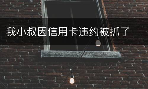 我小叔因信用卡违约被抓了
