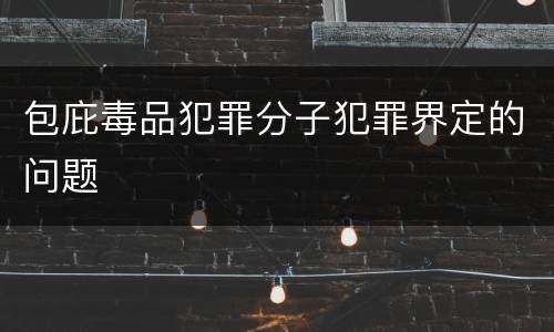 包庇毒品犯罪分子犯罪界定的问题