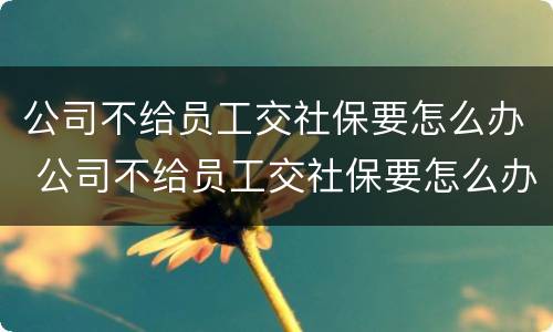 公司不给员工交社保要怎么办 公司不给员工交社保要怎么办理