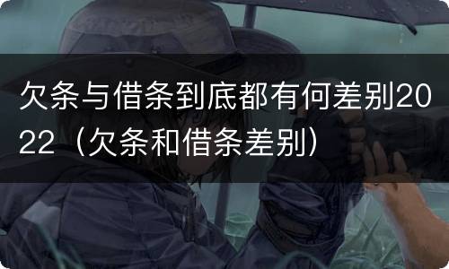 欠条与借条到底都有何差别2022（欠条和借条差别）