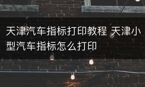天津汽车指标打印教程 天津小型汽车指标怎么打印