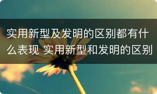 实用新型及发明的区别都有什么表现 实用新型和发明的区别