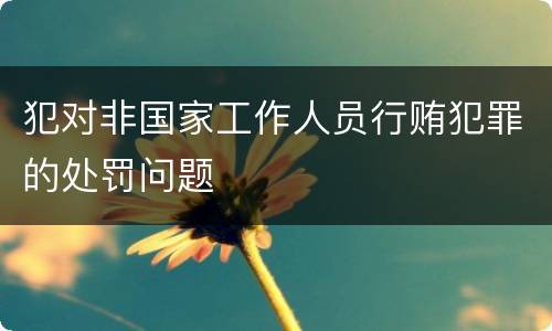犯对非国家工作人员行贿犯罪的处罚问题