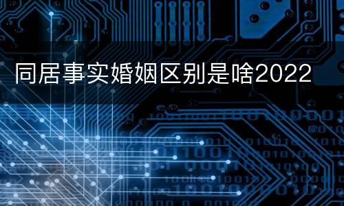同居事实婚姻区别是啥2022