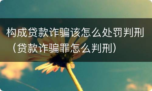 构成贷款诈骗该怎么处罚判刑（贷款诈骗罪怎么判刑）