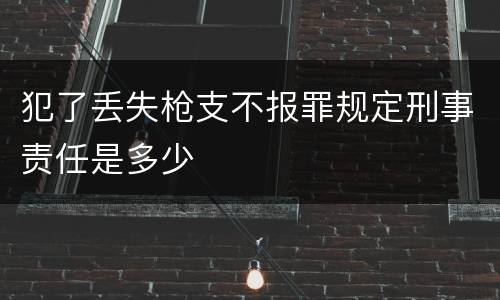 犯了丢失枪支不报罪规定刑事责任是多少