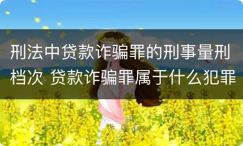 刑法中贷款诈骗罪的刑事量刑档次 贷款诈骗罪属于什么犯罪类型