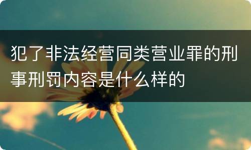 犯了非法经营同类营业罪的刑事刑罚内容是什么样的