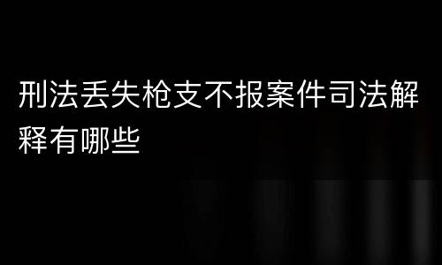 刑法丢失枪支不报案件司法解释有哪些