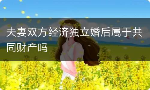 夫妻双方经济独立婚后属于共同财产吗