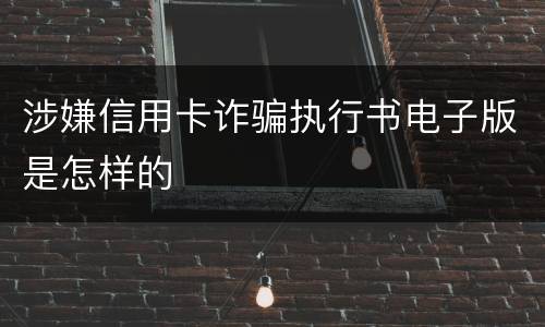 涉嫌信用卡诈骗执行书电子版是怎样的