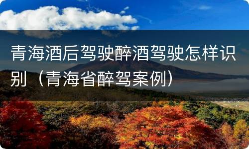 青海酒后驾驶醉酒驾驶怎样识别（青海省醉驾案例）