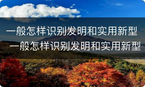 一般怎样识别发明和实用新型 一般怎样识别发明和实用新型机器人