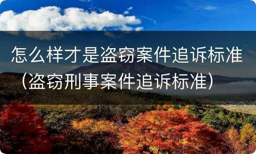 怎么样才是盗窃案件追诉标准（盗窃刑事案件追诉标准）