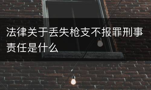 法律关于丢失枪支不报罪刑事责任是什么