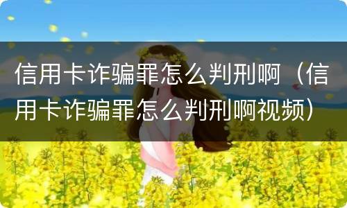信用卡诈骗罪怎么判刑啊（信用卡诈骗罪怎么判刑啊视频）
