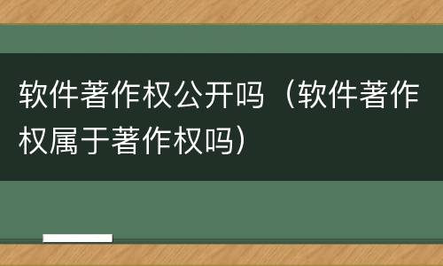 软件著作权公开吗（软件著作权属于著作权吗）