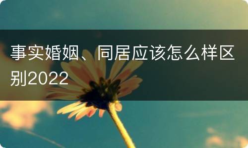 事实婚姻、同居应该怎么样区别2022