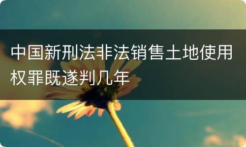 中国新刑法非法销售土地使用权罪既遂判几年
