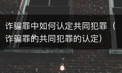 诈骗罪中如何认定共同犯罪（诈骗罪的共同犯罪的认定）
