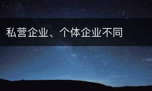 私营企业、个体企业不同