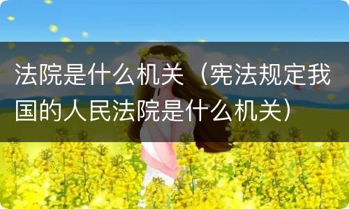 法院是什么机关（宪法规定我国的人民法院是什么机关）