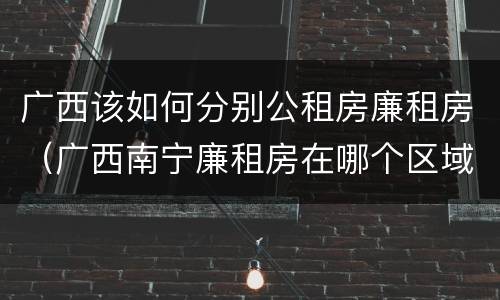 广西该如何分别公租房廉租房（广西南宁廉租房在哪个区域）