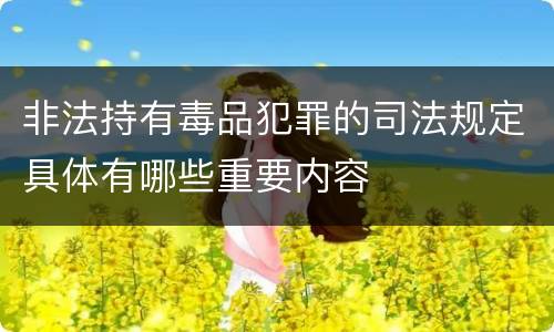非法持有毒品犯罪的司法规定具体有哪些重要内容