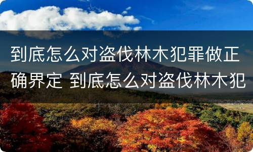 到底怎么对盗伐林木犯罪做正确界定 到底怎么对盗伐林木犯罪做正确界定呢