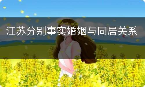 江苏分别事实婚姻与同居关系