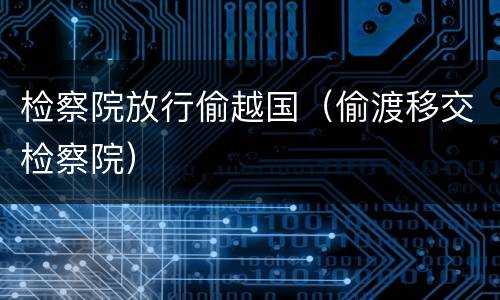 检察院放行偷越国（偷渡移交检察院）