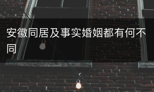 安徽同居及事实婚姻都有何不同