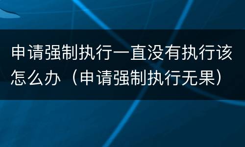申请强制执行一直没有执行该怎么办（申请强制执行无果）