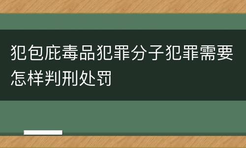 犯包庇毒品犯罪分子犯罪需要怎样判刑处罚
